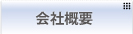 ЊTv